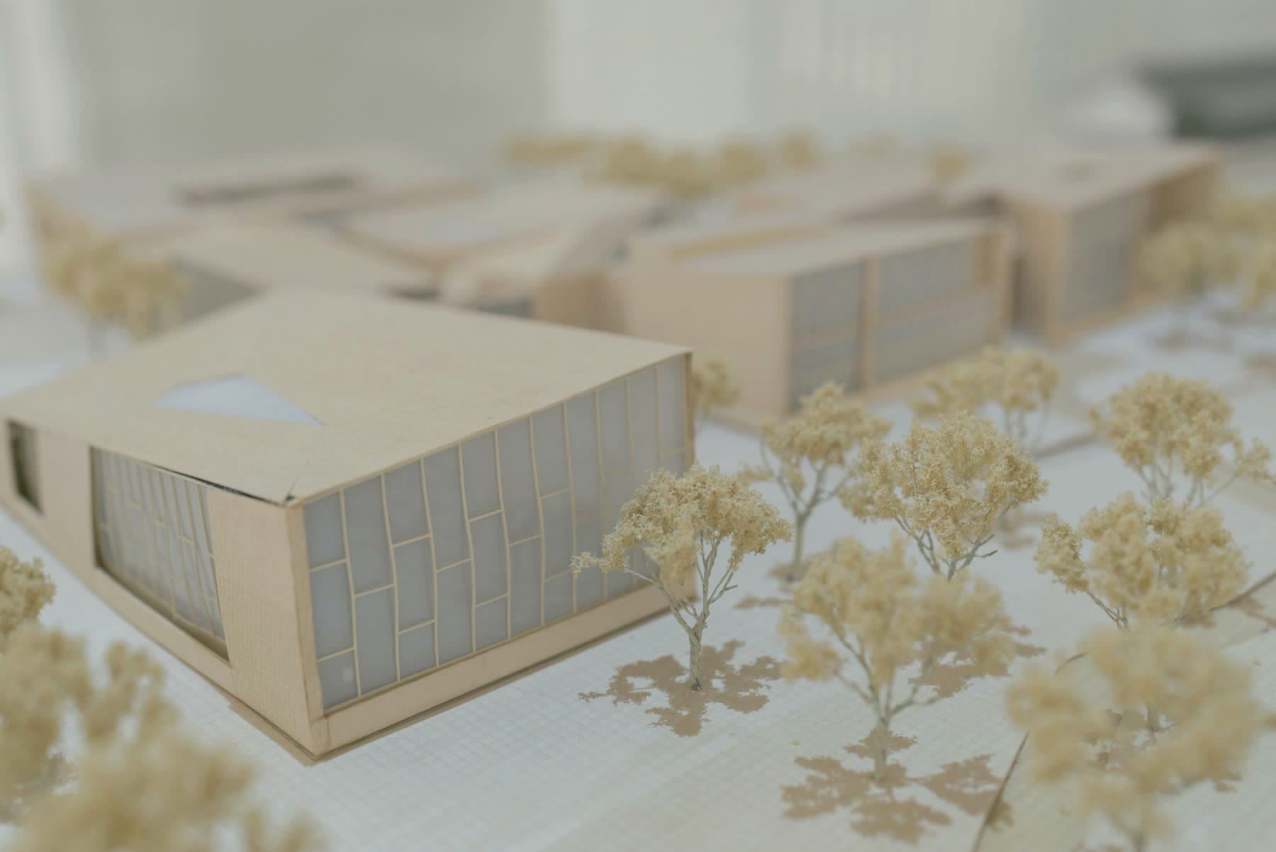 Architectural massing model with trees